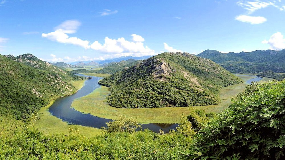Pamje mahnitëse e gjelbërimit dhe natyrës së pasur të Shkodrës